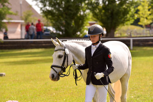 Goldene Schärpe Ponys in Hohenberg Krusemark 2024 | 14072024 Vormustern_420 
