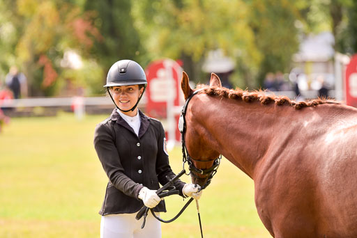 Goldene Schärpe Ponys in Hohenberg Krusemark 2024 | 14072024 Vormustern_423 