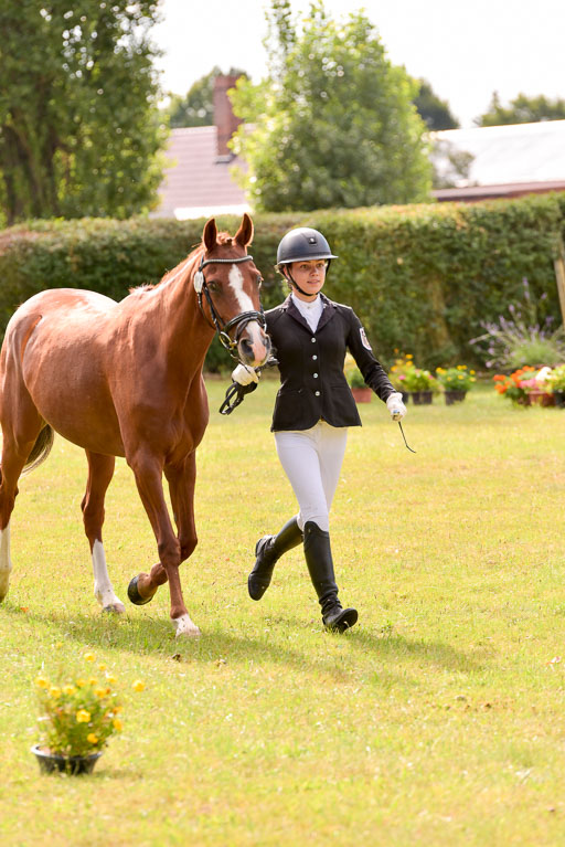 Goldene Schärpe Ponys in Hohenberg Krusemark 2024 | 14072024 Vormustern_425 