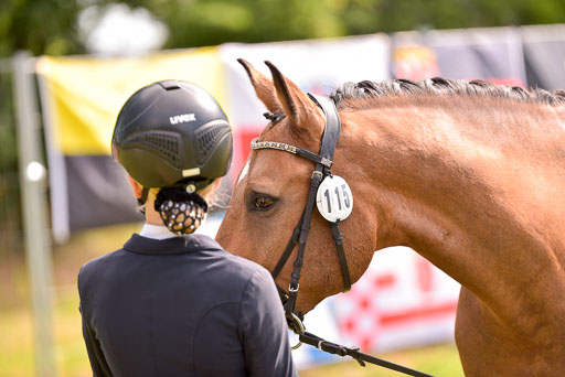 Goldene Schärpe Ponys in Hohenberg Krusemark 2024 | 14072024 Vormustern_430 
