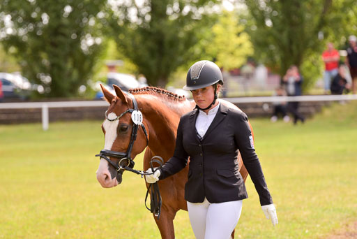 Goldene Schärpe Ponys in Hohenberg Krusemark 2024 | 14072024 Vormustern_434 
