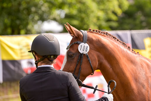 Goldene Schärpe Ponys in Hohenberg Krusemark 2024 | 14072024 Vormustern_436 