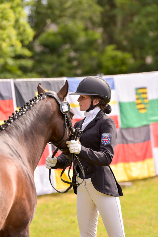 Goldene Schärpe Ponys in Hohenberg Krusemark 2024 | 14072024 Vormustern_439 