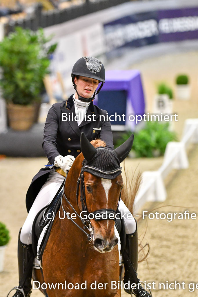 VR Classics Neumünster 2024 | Julia de Ridder - Diamantinos _13