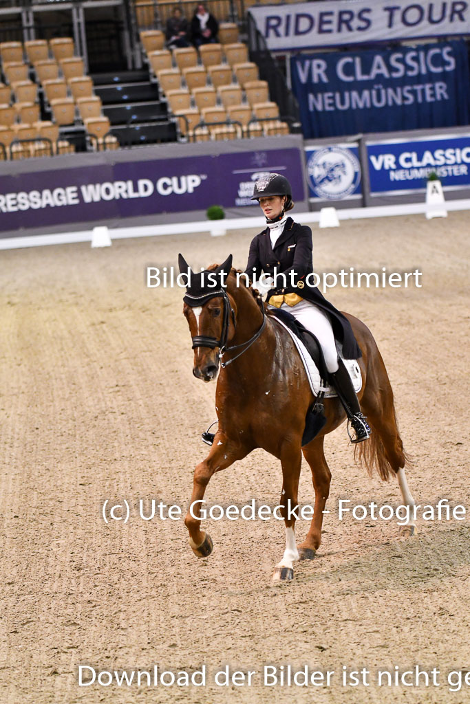 VR Classics Neumünster 2024 | Julia de Ridder - Diamantinos _18