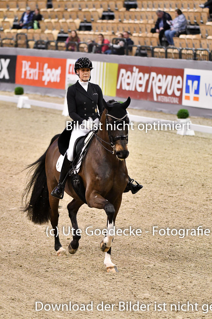 VR Classics Neumünster 2024 | Juliane Brunkhorst - Diamante negro 013 