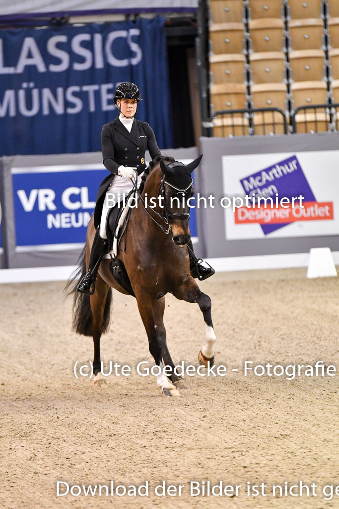 VR Classics Neumünster 2024 | Juliane Brunkhorst - Diamante negro 023 