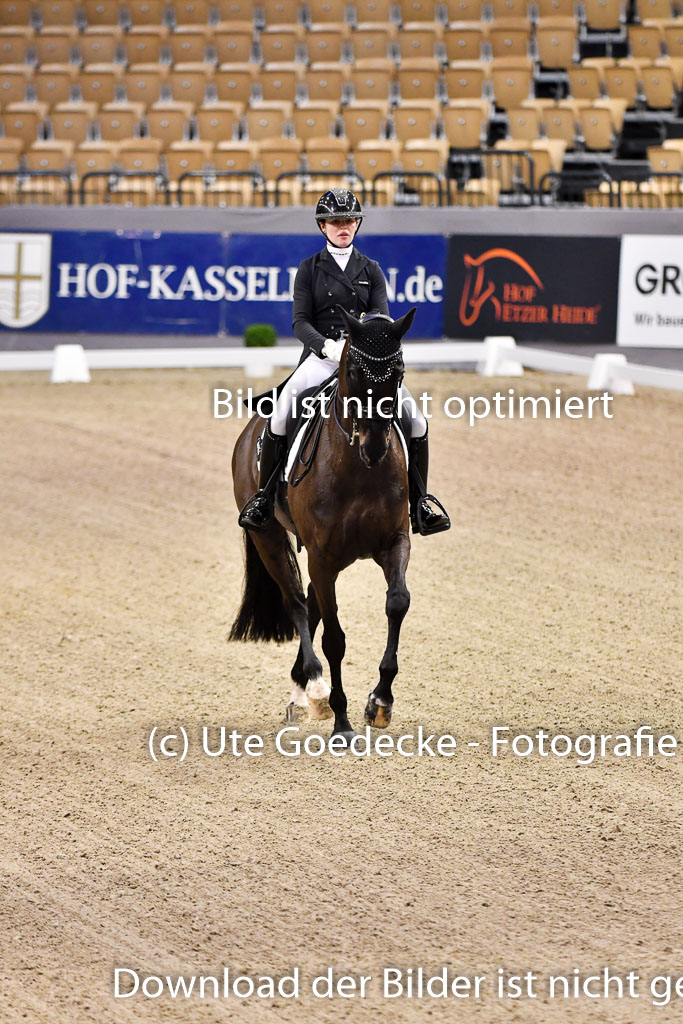 VR Classics Neumünster 2024 | madeleine plinke - Suri007 