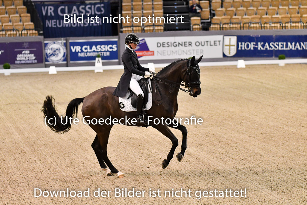 VR Classics Neumünster 2024 | madeleine plinke - Suri032 