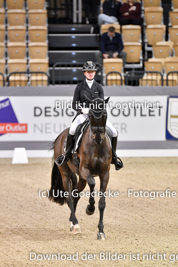 VR Classics Neumünster 2024 | madeleine plinke - Suri042 