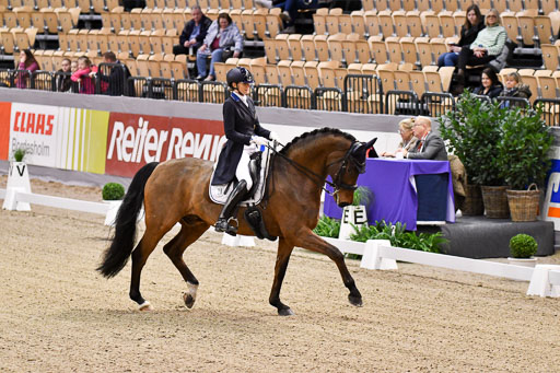 VR Classics Neumünster 2024 | Antiona palme e Santos - Picasso_03 