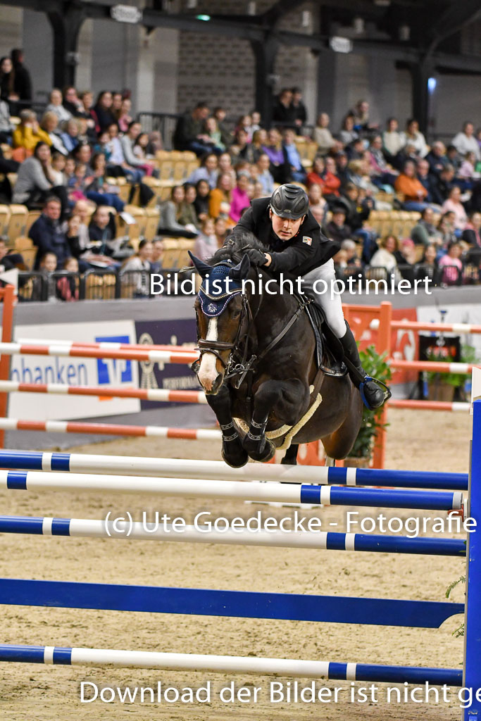 VR Classics Neumünster 2024 | 15022024 - M Springen Pfg 18 _022 