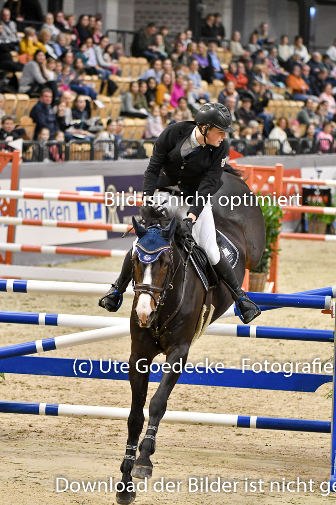 VR Classics Neumünster 2024 | 15022024 - M Springen Pfg 18 _023 