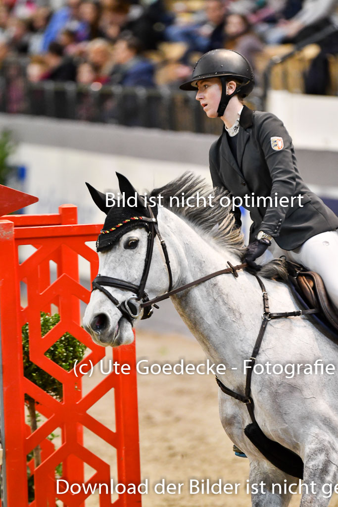 VR Classics Neumünster 2024 | 15022024 - M Springen Pfg 18 _024 