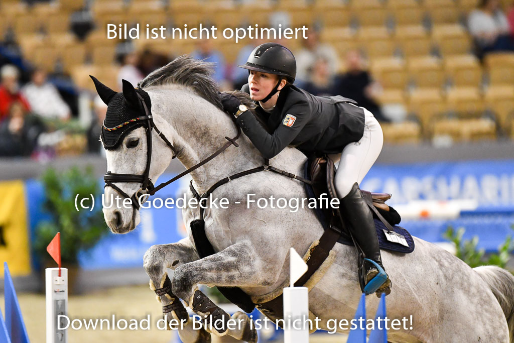 VR Classics Neumünster 2024 | 15022024 - M Springen Pfg 18 _025 