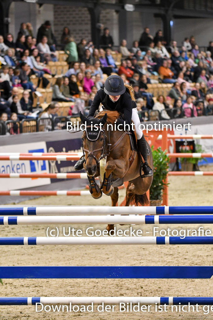VR Classics Neumünster 2024 | 15022024 - M Springen Pfg 18 _037 