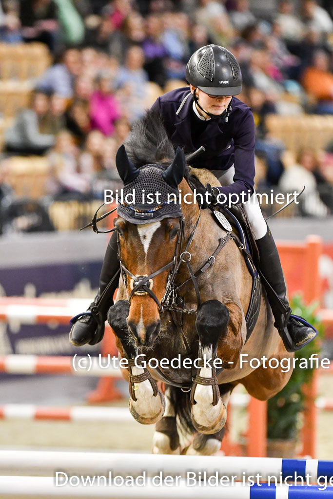 VR Classics Neumünster 2024 | 15022024 - M Springen Pfg 18 _043 