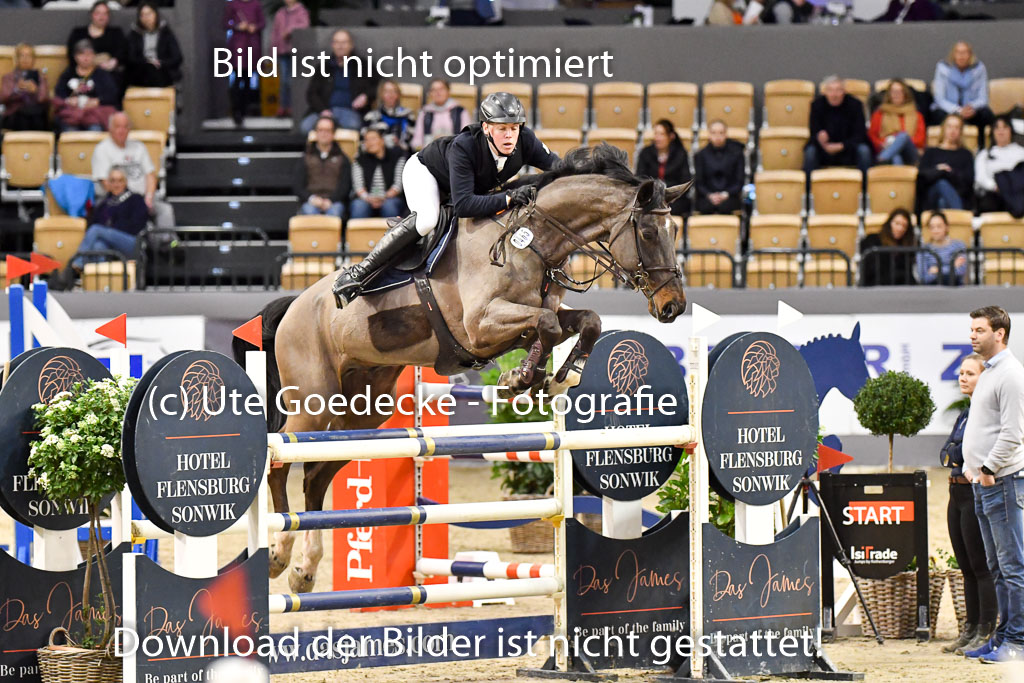 VR Classics Neumünster 2024 | 15022024 - M Springen Pfg 18 _045 