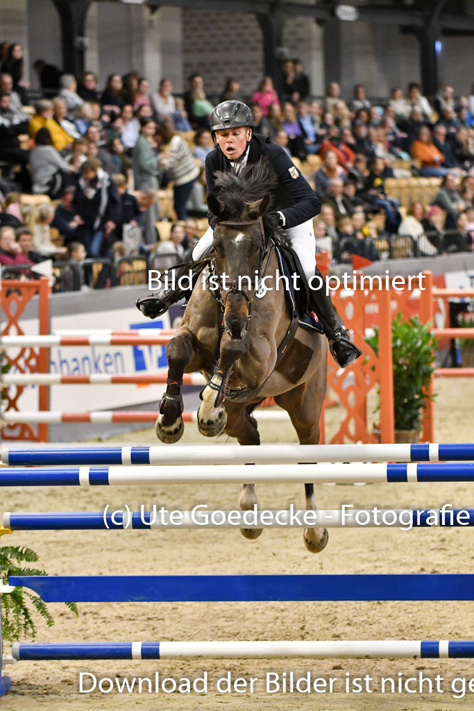 VR Classics Neumünster 2024 | 15022024 - M Springen Pfg 18 _048 