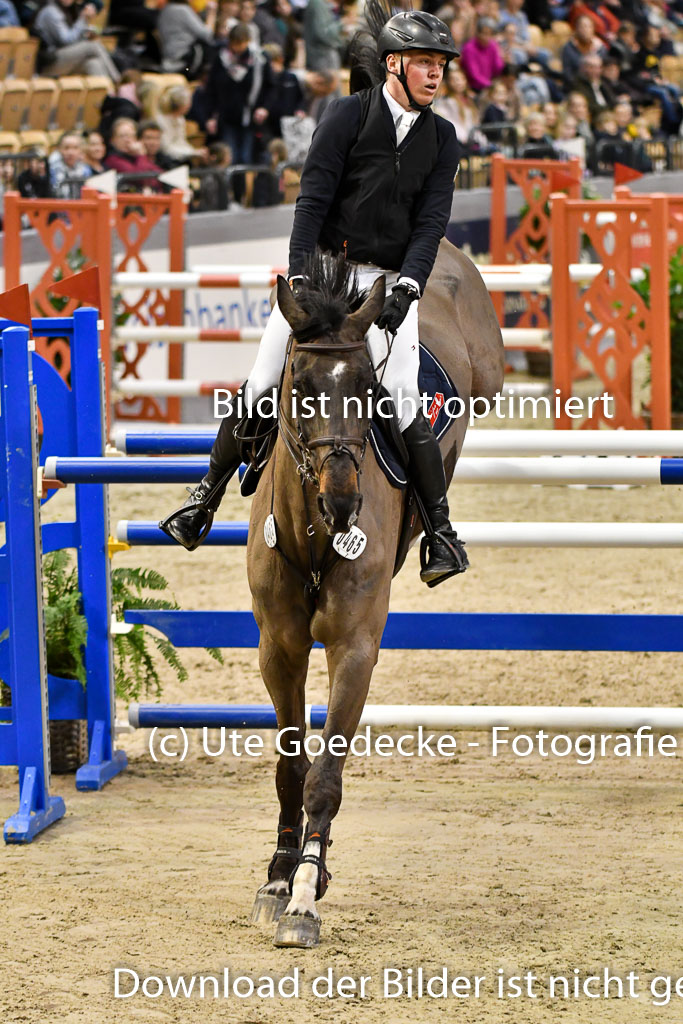 VR Classics Neumünster 2024 | 15022024 - M Springen Pfg 18 _052 