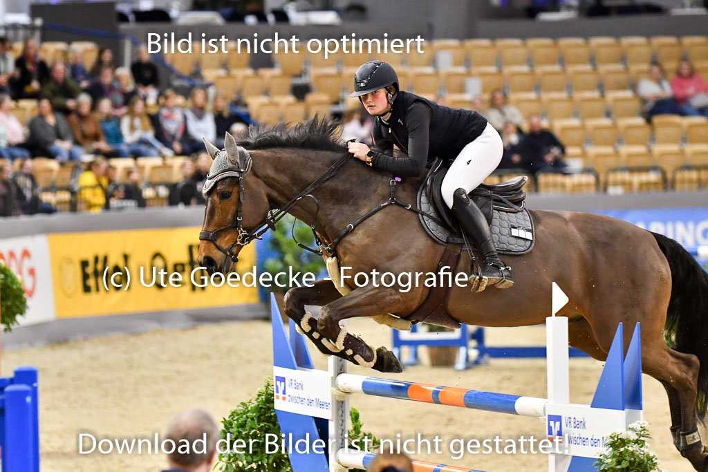 VR Classics Neumünster 2024 | 15022024 - M Springen Pfg 18 _060 