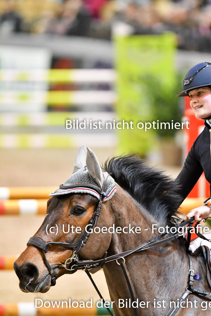 VR Classics Neumünster 2024 | 15022024 - M Springen Pfg 18 _062 