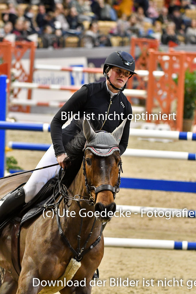 VR Classics Neumünster 2024 | 15022024 - M Springen Pfg 18 _064 