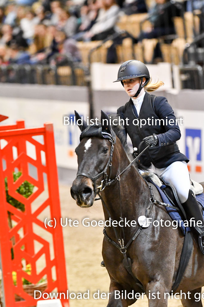 VR Classics Neumünster 2024 | 15022024 - M Springen Pfg 18 _068 