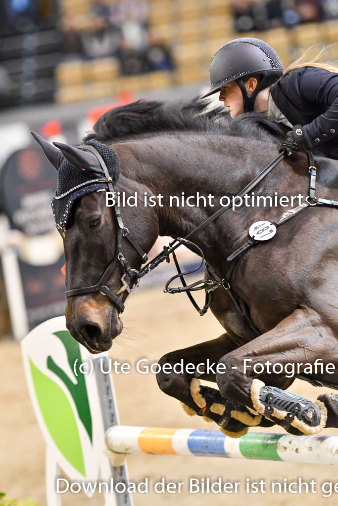 VR Classics Neumünster 2024 | 15022024 - M Springen Pfg 18 _069 