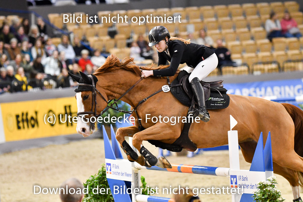 VR Classics Neumünster 2024 | 15022024 - M Springen Pfg 18 _079 