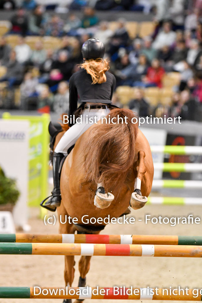 VR Classics Neumünster 2024 | 15022024 - M Springen Pfg 18 _080 