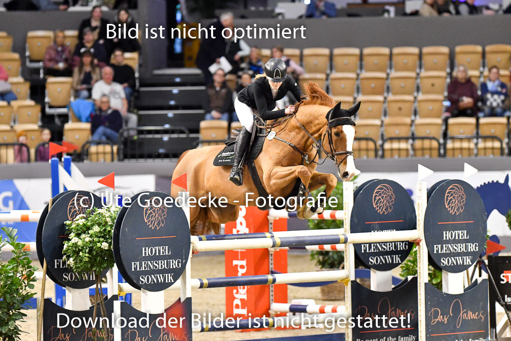VR Classics Neumünster 2024 | 15022024 - M Springen Pfg 18 _081 