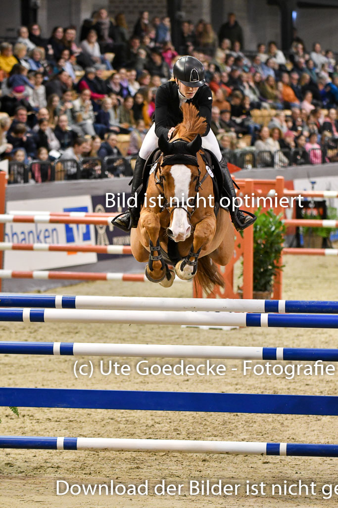 VR Classics Neumünster 2024 | 15022024 - M Springen Pfg 18 _084 