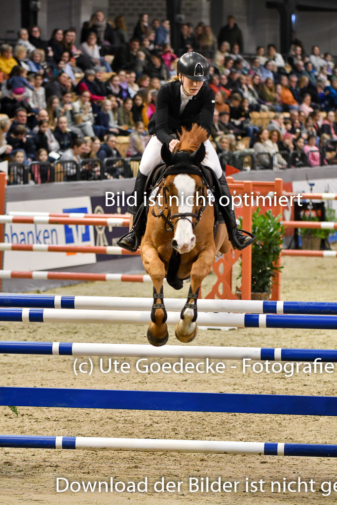 VR Classics Neumünster 2024 | 15022024 - M Springen Pfg 18 _085 