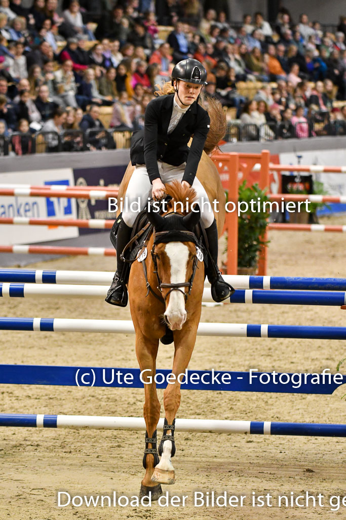 VR Classics Neumünster 2024 | 15022024 - M Springen Pfg 18 _086 