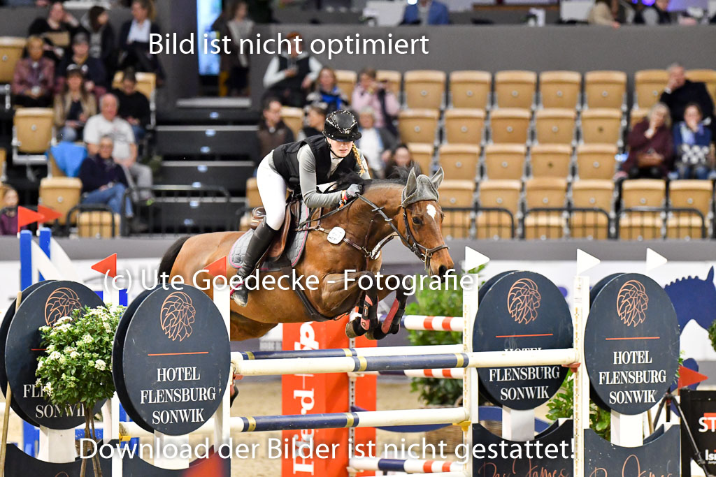 VR Classics Neumünster 2024 | 15022024 - M Springen Pfg 18 _087 