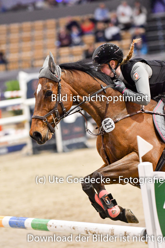 VR Classics Neumünster 2024 | 15022024 - M Springen Pfg 18 _088 