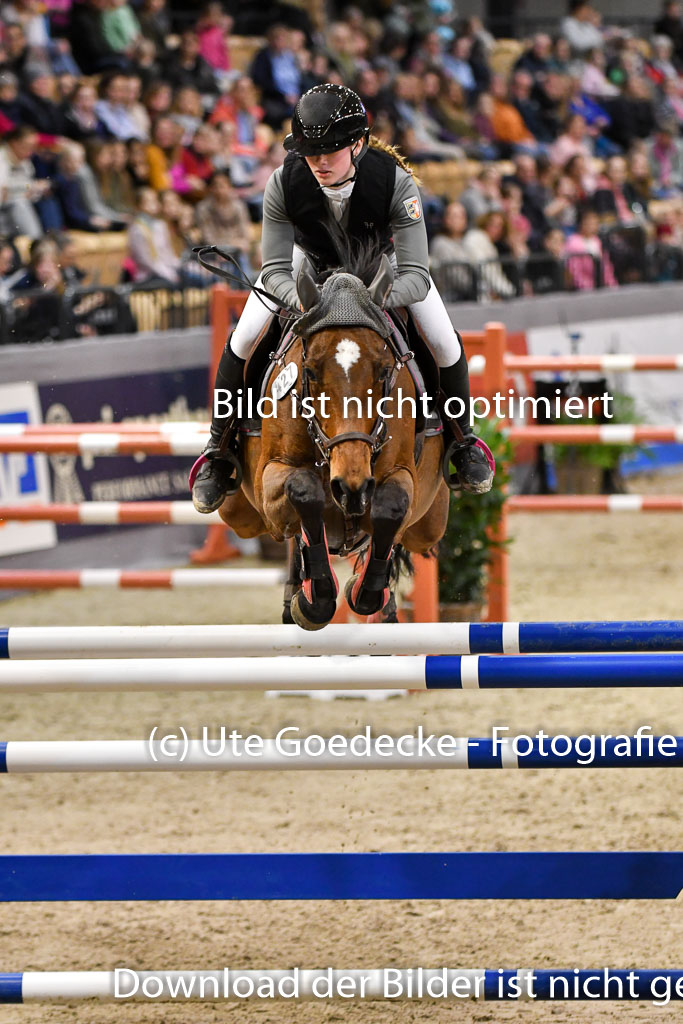 VR Classics Neumünster 2024 | 15022024 - M Springen Pfg 18 _090 