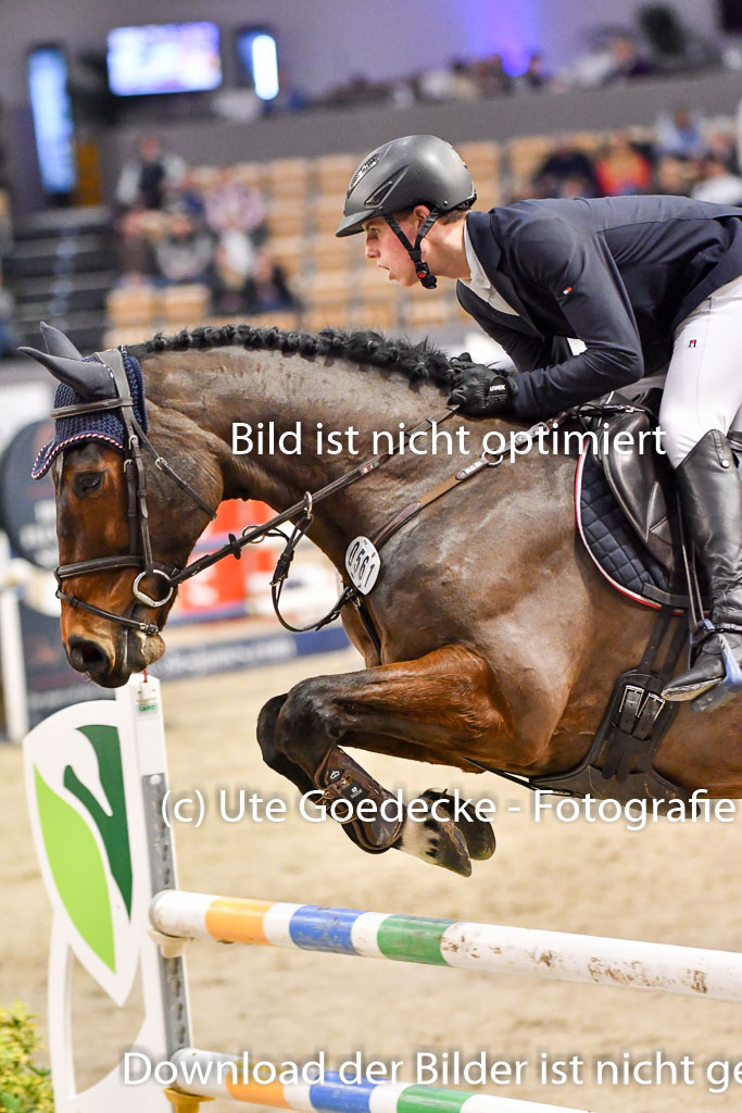 VR Classics Neumünster 2024 | 15022024 - M Springen Pfg 18 _100 