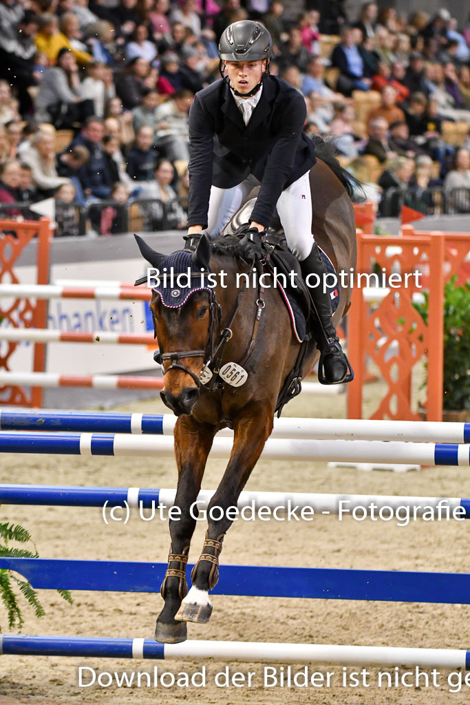 VR Classics Neumünster 2024 | 15022024 - M Springen Pfg 18 _102 