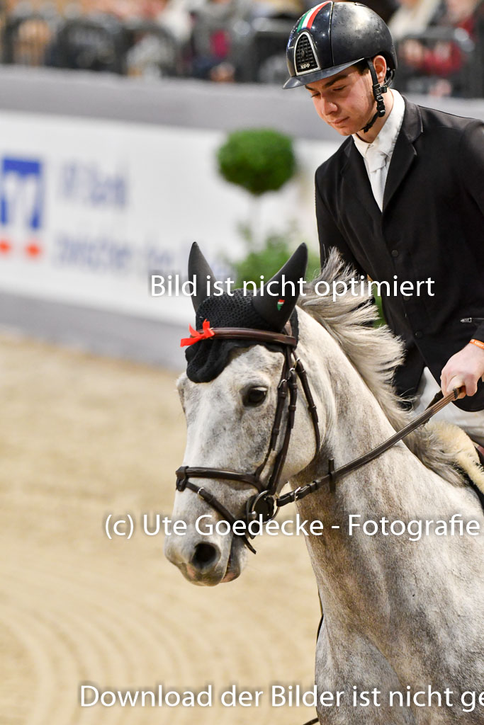 VR Classics Neumünster 2024 | 15022024 - M Springen Pfg 18 _103 