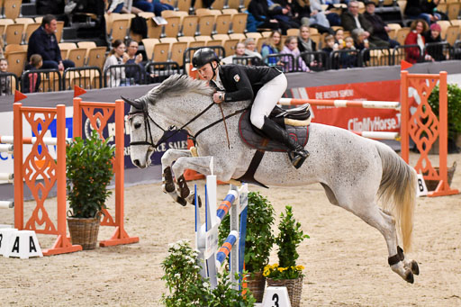 VR Classics Neumünster 2024 | 15022024 - M Springen Pfg 18 _005 