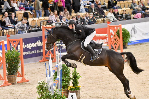 VR Classics Neumünster 2024 | 15022024 - M Springen Pfg 18 _018 