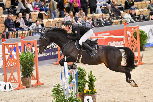 VR Classics Neumünster 2024 | 15022024 - M Springen Pfg 18 _019 