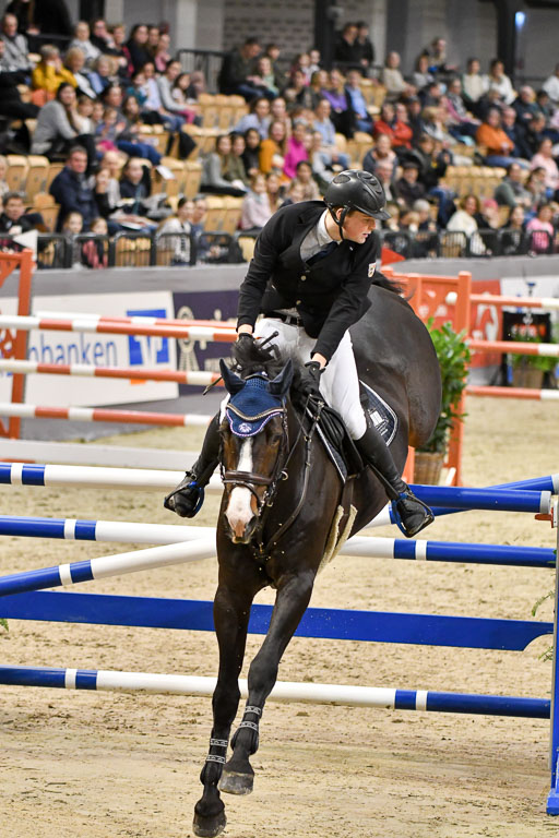 VR Classics Neumünster 2024 | 15022024 - M Springen Pfg 18 _023 