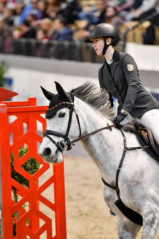 VR Classics Neumünster 2024 | 15022024 - M Springen Pfg 18 _024 