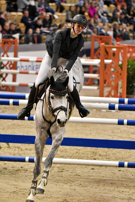 VR Classics Neumünster 2024 | 15022024 - M Springen Pfg 18 _032 