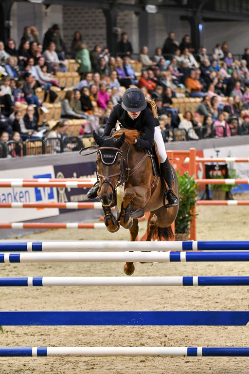 VR Classics Neumünster 2024 | 15022024 - M Springen Pfg 18 _037 