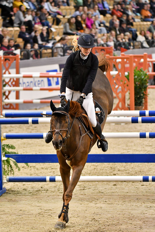 VR Classics Neumünster 2024 | 15022024 - M Springen Pfg 18 _038 