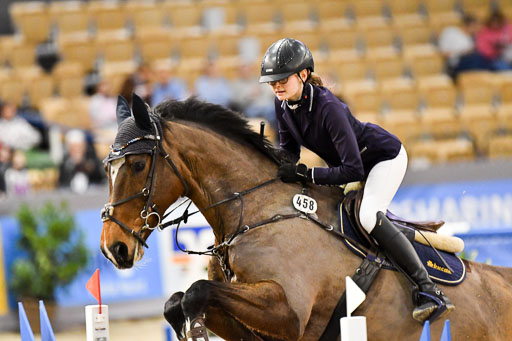 VR Classics Neumünster 2024 | 15022024 - M Springen Pfg 18 _040 